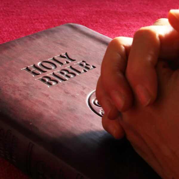 Leading a Journey into Luke: A Training Day