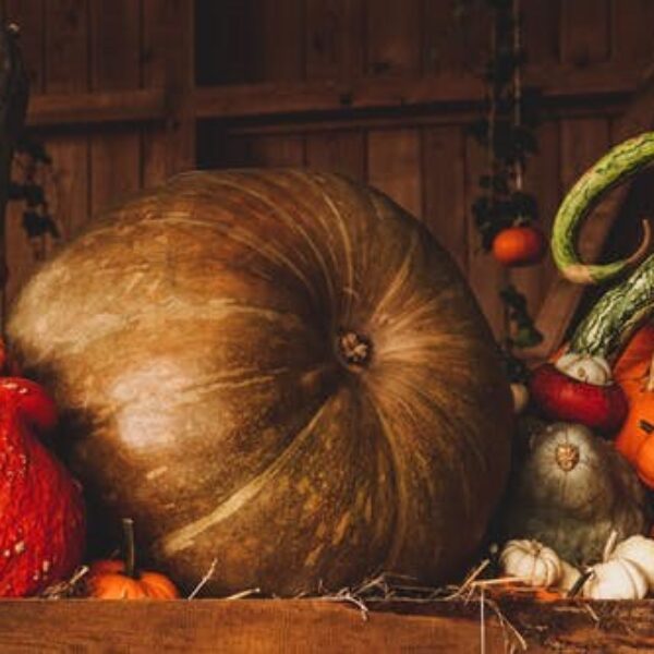 A Thanksgiving Message from Archbishop Anne