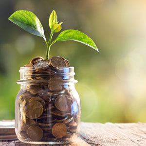 Muskoka Ministry Endowment Fund Grants – 2024