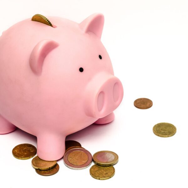 Grants from the MUSKOKA MINISTRY ENDOWMENT FUND available