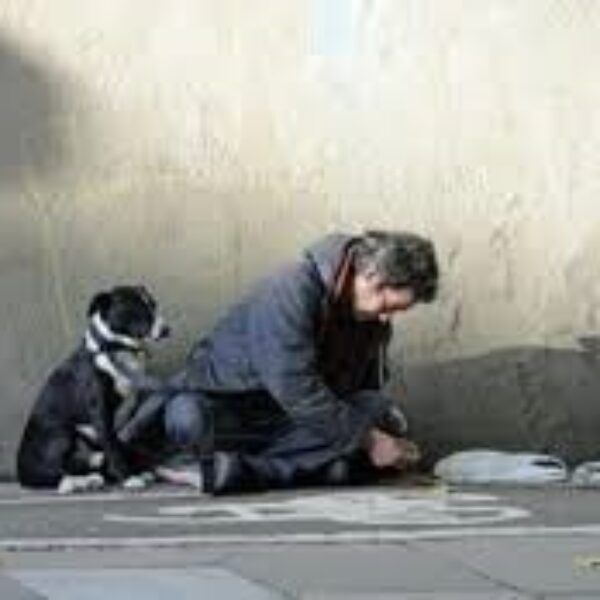 Homelessness Week Panel Discussion – recording available