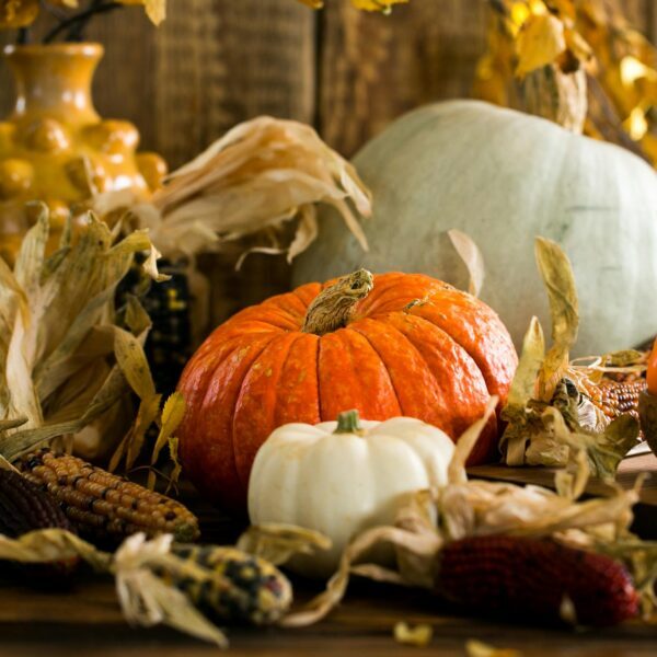 Happy Thanksgiving!