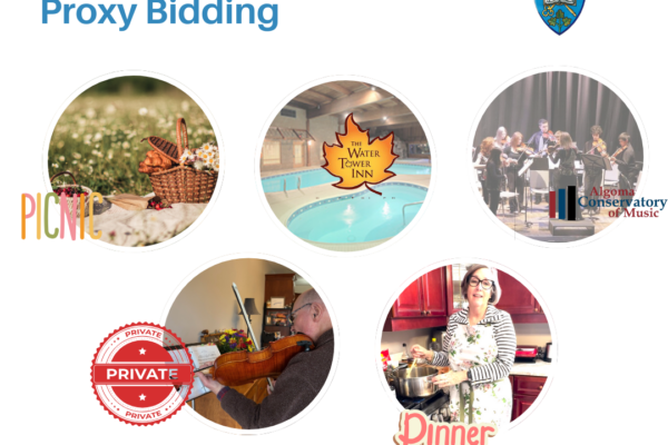 Silent Auction Proxy Bidding