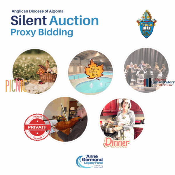 Silent Auction Proxy Bidding